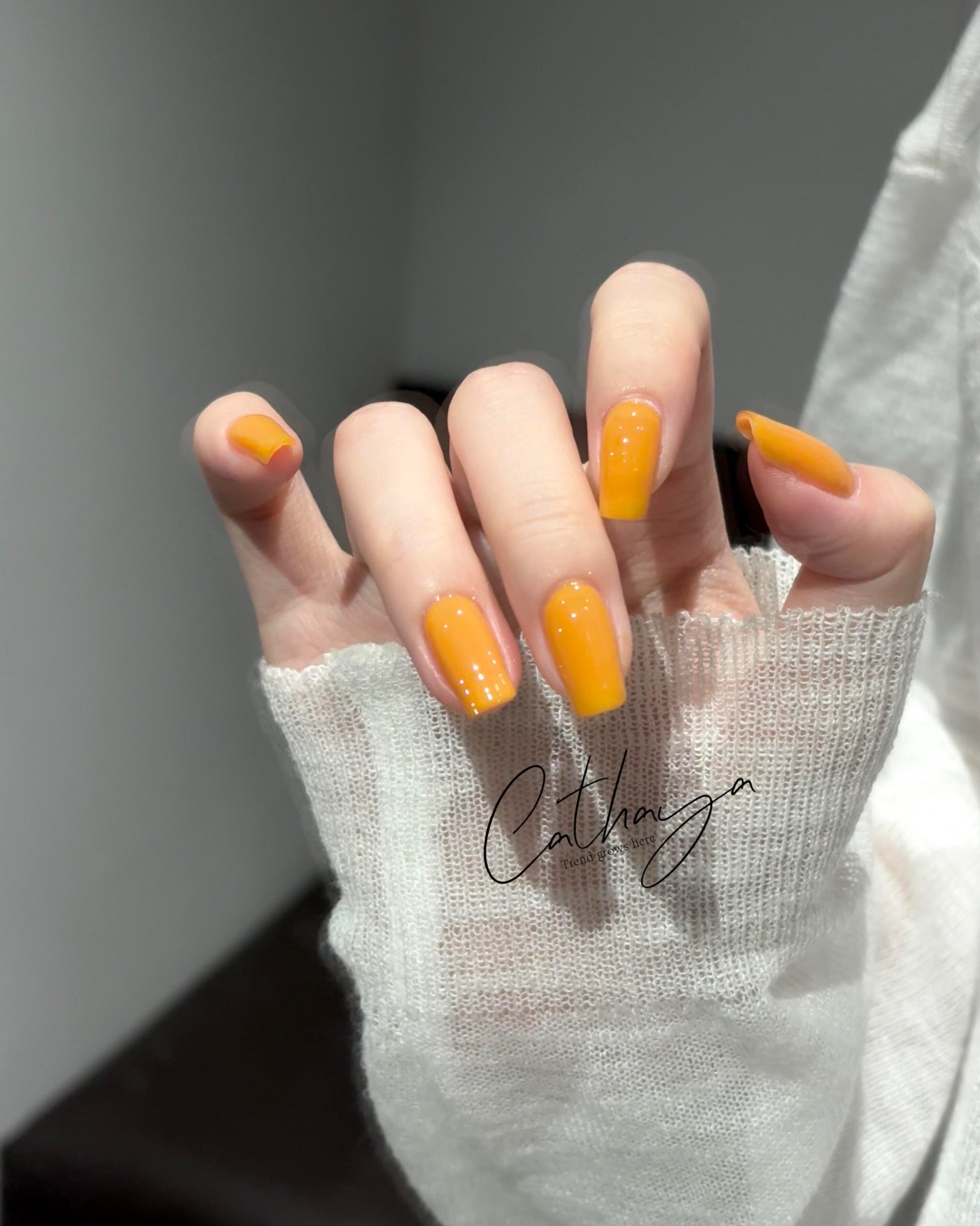 Marmalade Kiss - Cathaya 