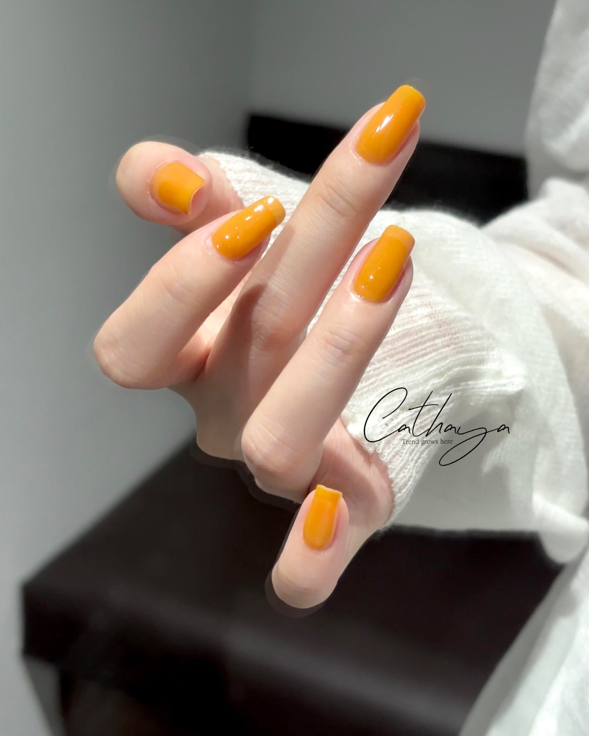 Marmalade Kiss - Cathaya 